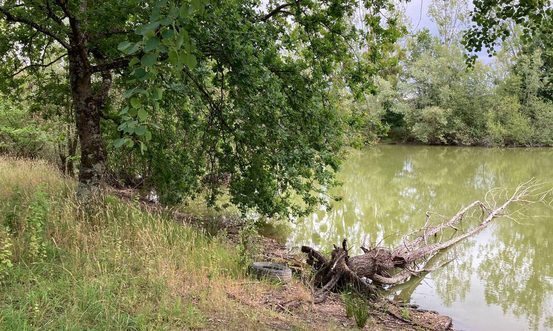 etang-foret