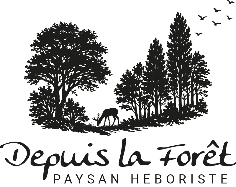 depuislaforet-logo-web