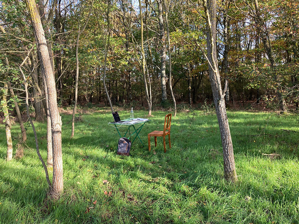 depuis-la-foret-debut